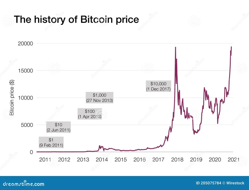 Bitcoin Price Slump: What Happened and Bull Run Speculation